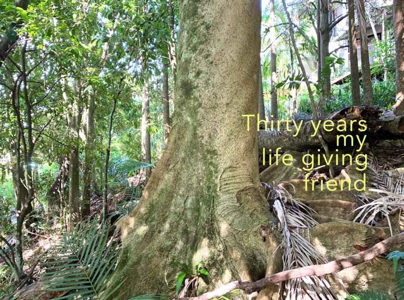 Screenshot 2023-09-09 at 12.57.59 pm