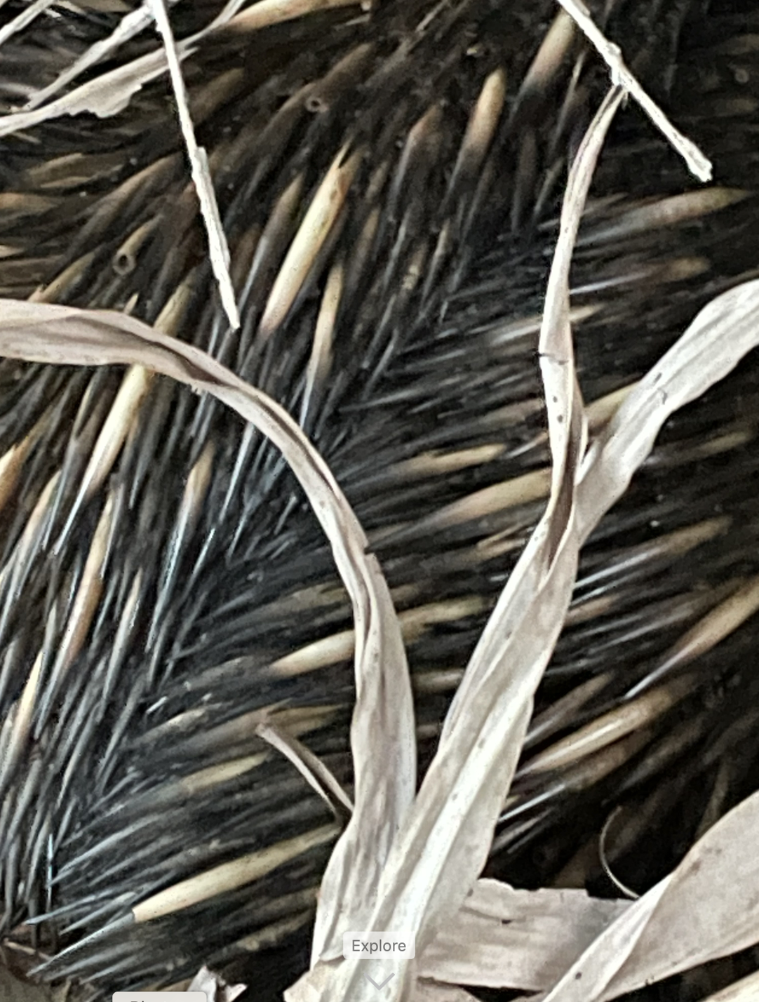 Screenshot 2023-09-09 at 4.24.52 pm